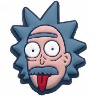 Rick and Morty- Jibbitz