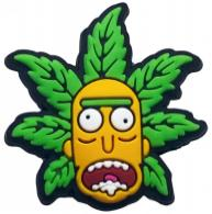 Rick and Morty- Jibbitz