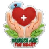 Medical Field-  Jibbitz